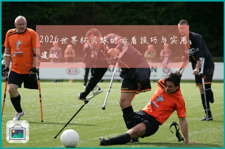 2026世界杯买球的必看技巧与实用建议