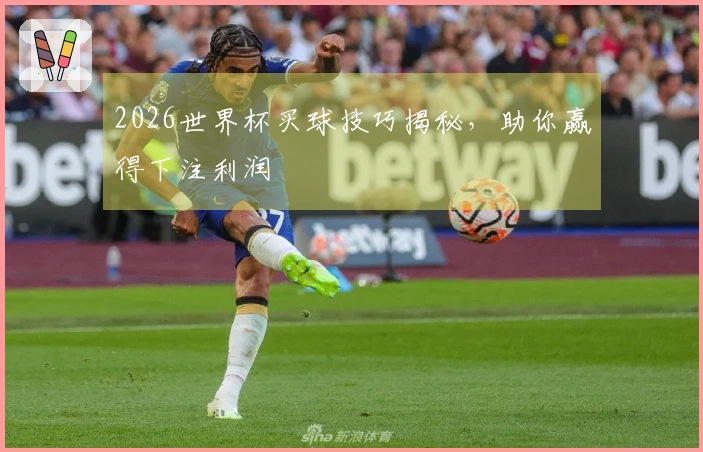 2026世界杯买球技巧揭秘，助你赢得下注利润