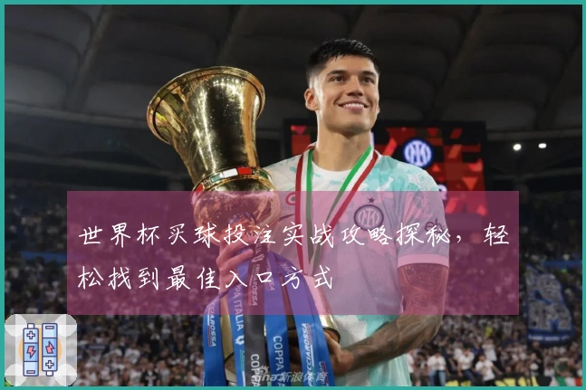 世界杯买球投注实战攻略探秘，轻松找到最佳入口方式