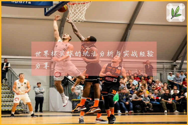 世界杯买球的玩法分析与实战经验分享