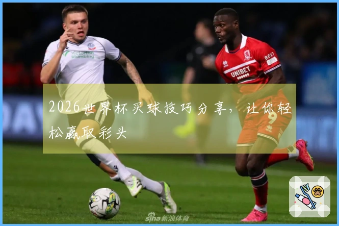 2026世界杯买球技巧分享，让你轻松赢取彩头