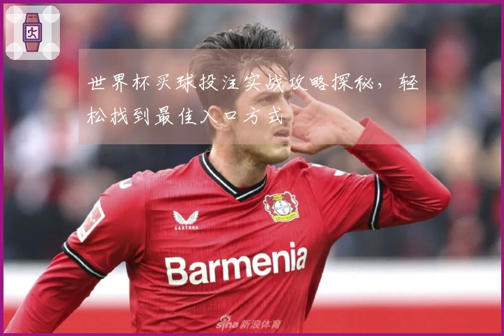 世界杯买球投注实战攻略探秘，轻松找到最佳入口方式