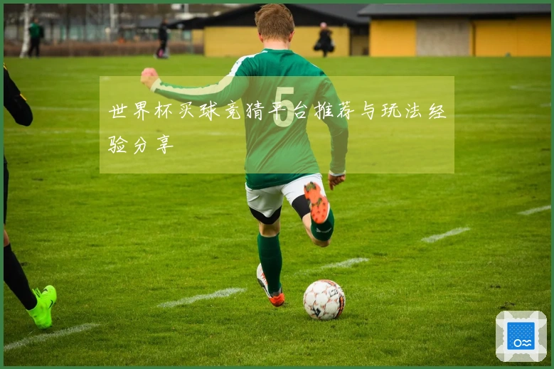 世界杯买球竞猜平台推荐与玩法经验分享
