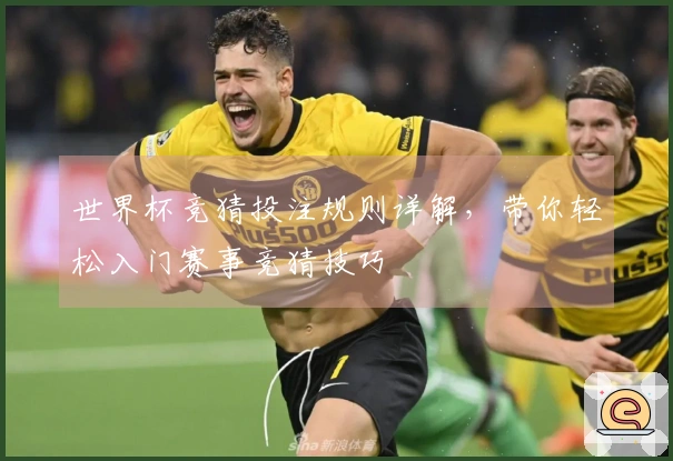 世界杯竞猜投注规则详解，带你轻松入门赛事竞猜技巧