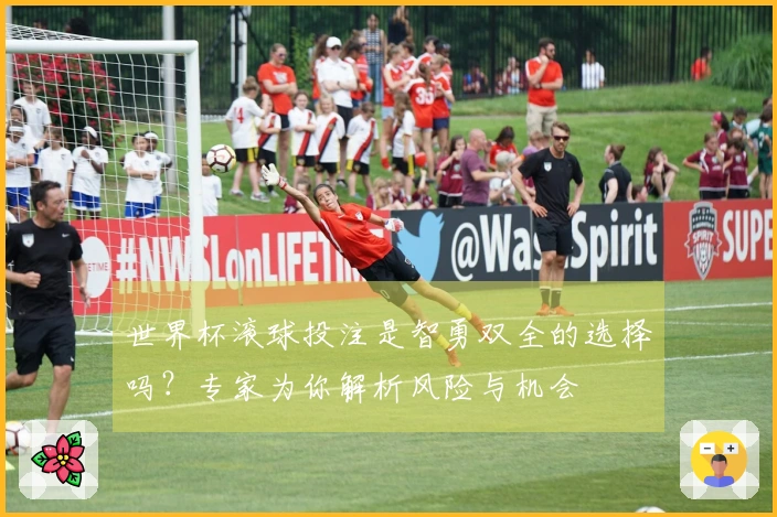 世界杯滚球投注是智勇双全的选择吗？专家为你解析风险与机会