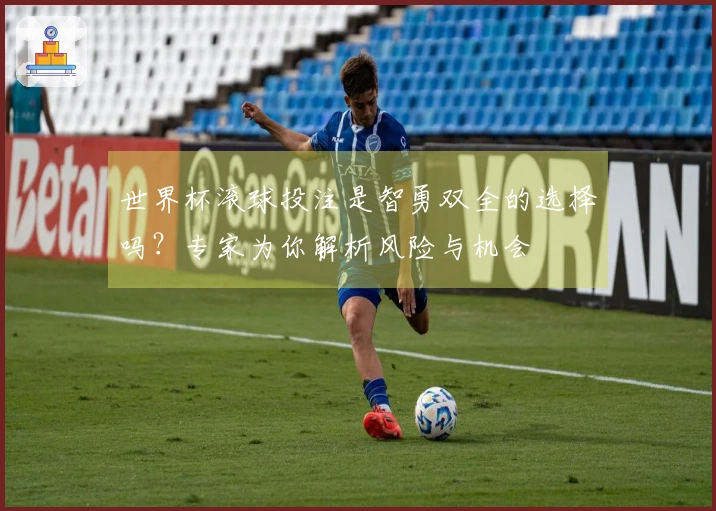 世界杯滚球投注是智勇双全的选择吗？专家为你解析风险与机会
