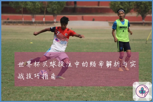 世界杯买球投注中的赔率解析与实战技巧指南