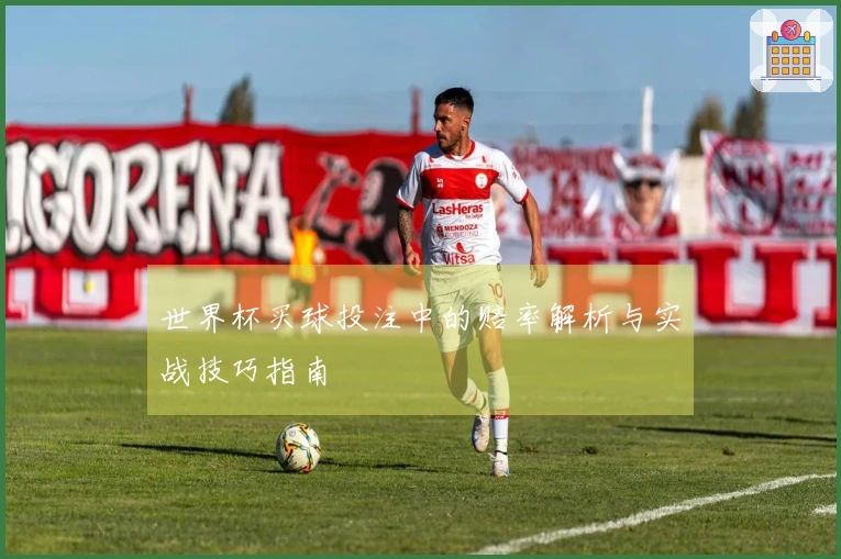 世界杯买球投注中的赔率解析与实战技巧指南