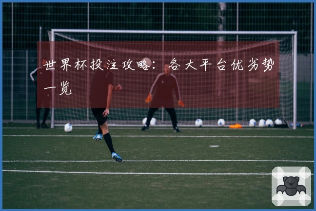 世界杯投注攻略：各大平台优劣势一览