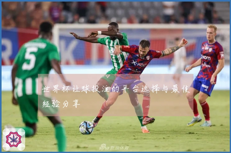 世界杯让球投注的平台选择与最佳经验分享