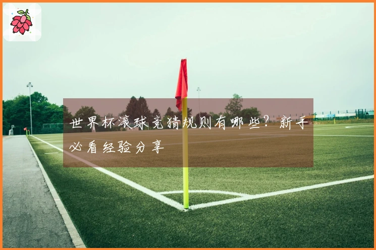 世界杯滚球竞猜规则有哪些？新手必看经验分享